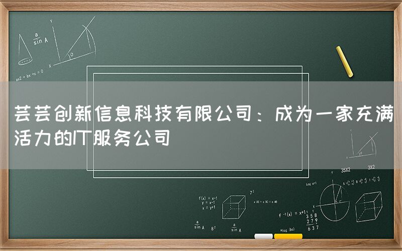 芸芸创新信息科技有限公司：成为一家充满活力的IT服务公司